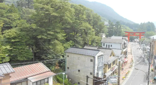 Номер Standard с видом на горы Hotel Musashiya