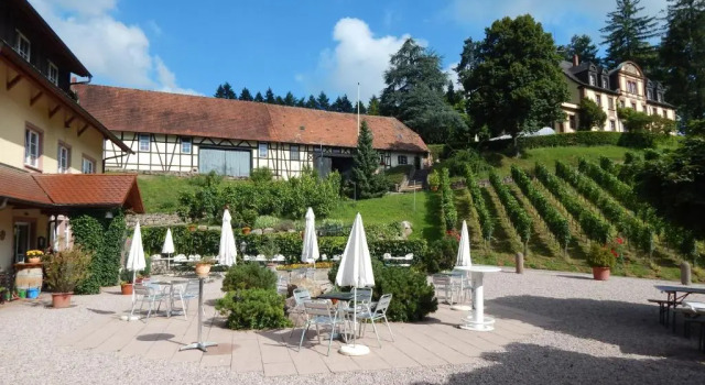 Wein Lodge Durbach - Josephsberg 2, Забронировать Отель Дурбах Шварцвальд, рядом с Винодельня Weingut Andreas Laible