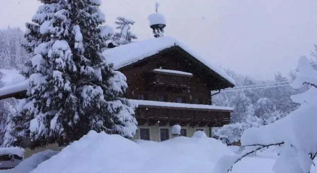 Bauernhof Auhof