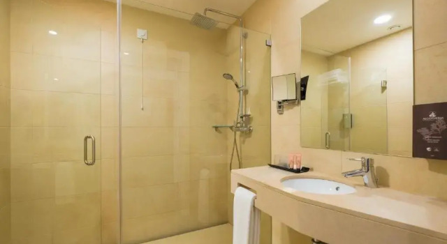 Трёхместный номер Standard Hotel Regina