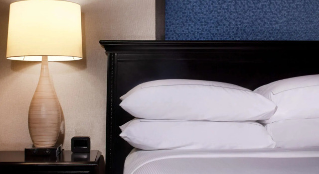 Двухместный номер Standard Hilton St. Petersburg Bayfront