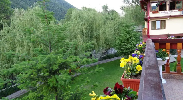 Семейный люкс с балконом Pension Cuibul Viselor