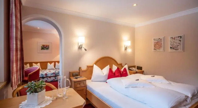 Номер Standard Hotel Garni Erler