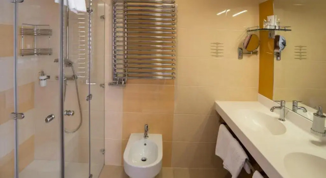 Номер Standard Hotel Slatina Superior