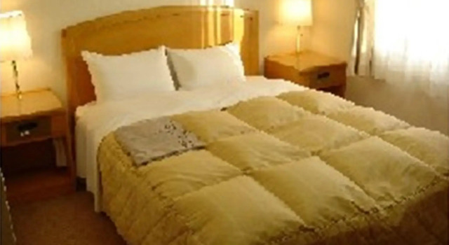 Двухместный номер Standard Mito Riverside Hotel