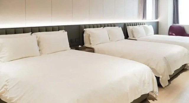 Номер Deluxe Talmud Hotel Classic Taiwan Boulevard