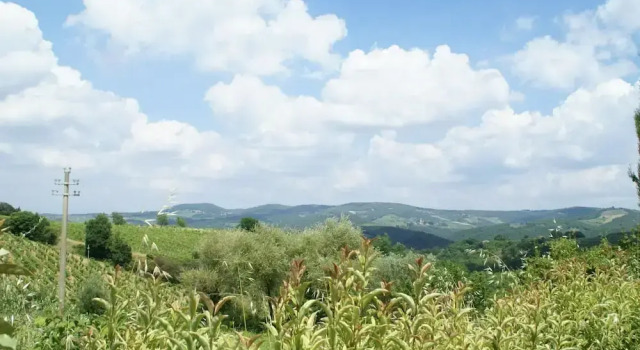 Apartment in Chianti With Shared Pool