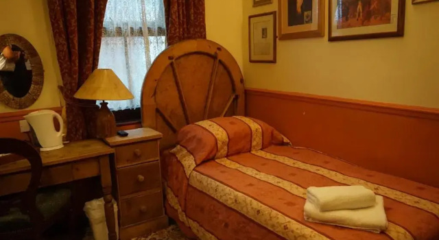 Одноместный номер Standard The Butlers Hotel