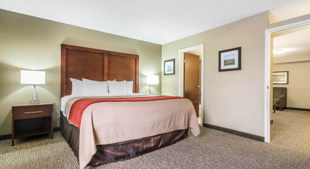 Двухместный люкс c 1 комнатой Comfort Inn & Suites Lexington - Hamburg I-75