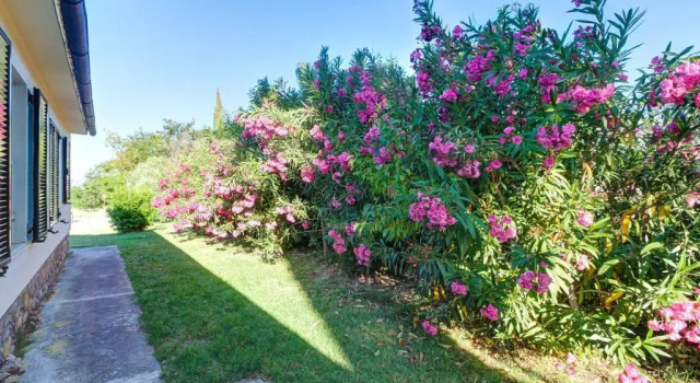 Номер Superior Artemisia negli ulivi B&B