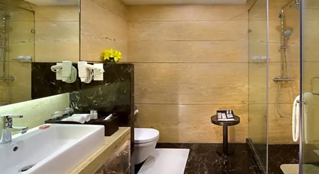 Номер Executive с балконом и с красивым видом из окна Ameya Suites