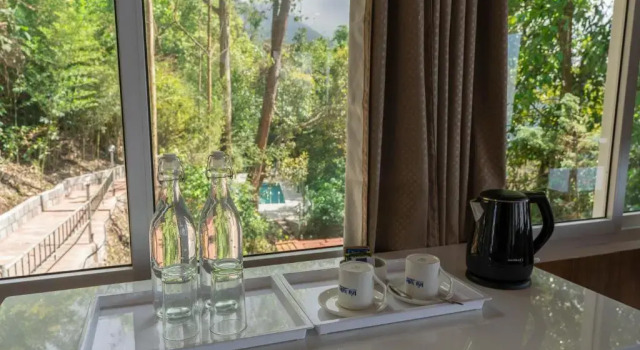 Двухместный люкс Deluxe Tea Valley Resort, Munnar