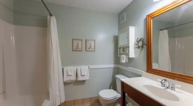 Номер Standard Allegheny Springs