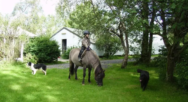 Árbakki Farmhouse Lodge