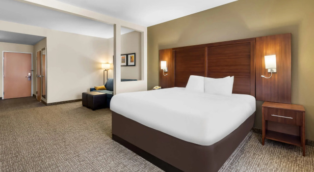 Двухместный люкс Comfort Suites Goodlettsville Rivergate