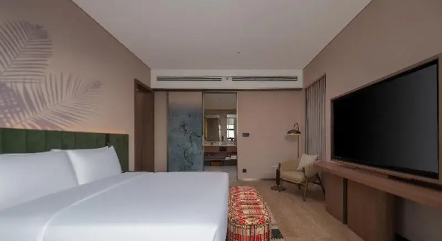 Двухместный люкс Deluxe Hilton Garden Inn Jingzhou Shashi
