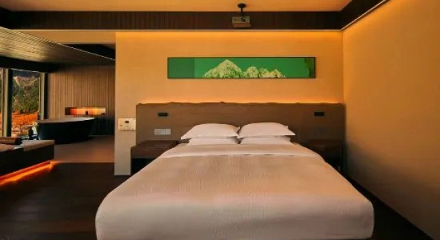Люкс Meru Hotel
