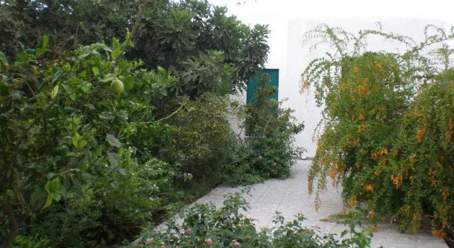 Cottage Astypalea Villas