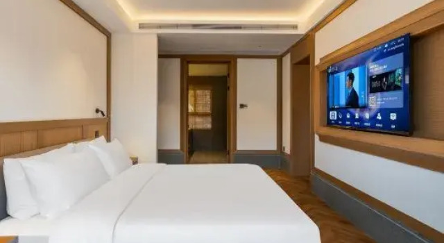 Люкс Shanghai Jiading Villa Garden Hotel