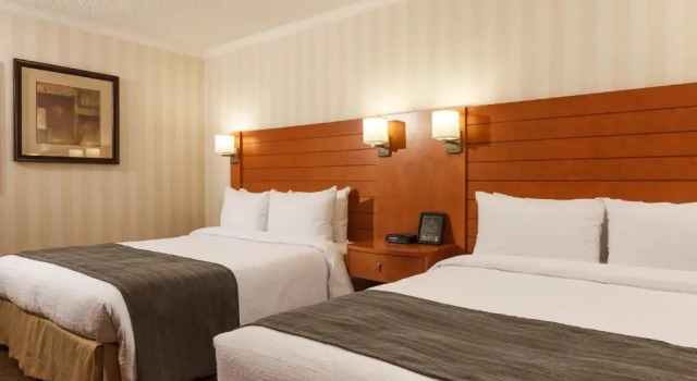 Четырёхместный номер Standard с видом на сад The Glenmore Inn & Convention Centre