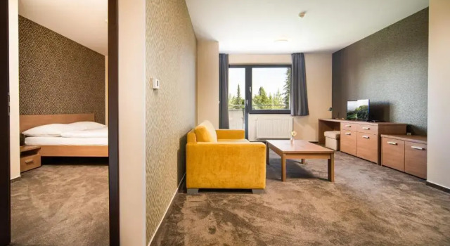 Апартаменты Standard Panorama Apartmany