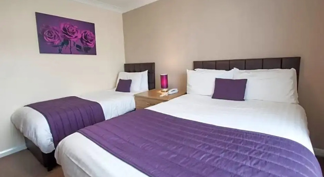 Standard Single quarto Exeter Court Hotel