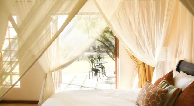 Thatch and Thorn Guest House, Boek Pension Midrand 