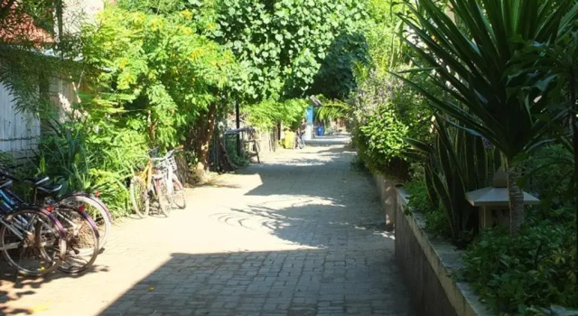 Двухместный номер Superior с красивым видом из окна Ricel Homestay Gili