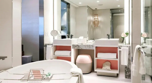 Двухместный номер Luxury с видом на город Sofitel Mexico City Reforma
