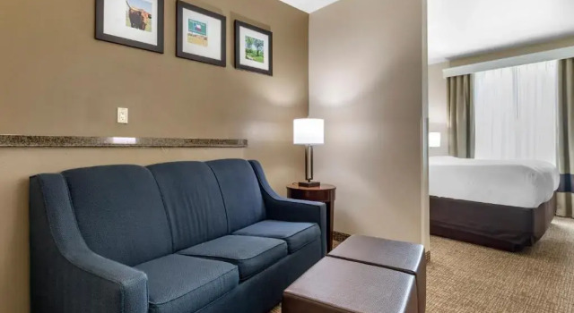 Люкс Comfort Suites Waco North - Near University Area