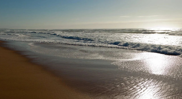 Protea Hotel by Marriott Karridene Beach