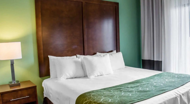 Люкс Holiday Inn Express & Suites Leesburg - Historic District by IHG