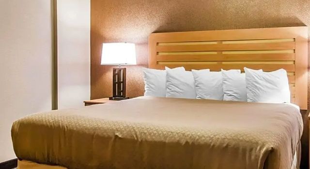 Люкс Quality Inn & Suites Warren - Detroit
