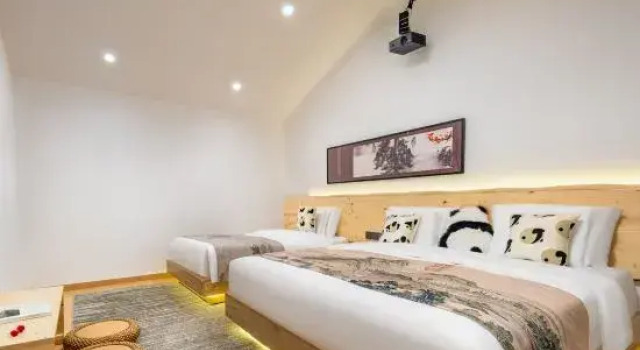 Люкс Дуплекс Dujiangyan South Bridge Guishu Gong Sitting Private Tang Homestay