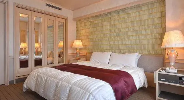 Люкс Kusatsu Now Resort Hotel