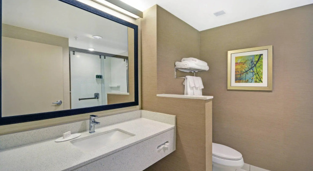 Двухместный номер Standard Fairfield Inn & Suites by Marriott Savannah SW/Richmond Hill