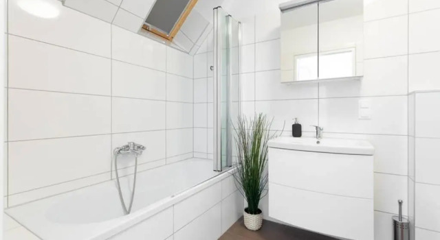 Апартаменты Penthouse bei Schönbrunn mit Dachterasse! N44