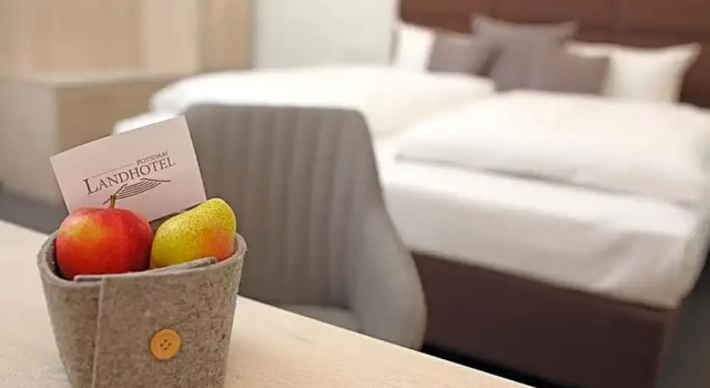 Номер Economy Landhotel Potsdam
