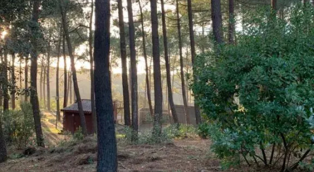 Agreable T2 Lisiere du Golf Lacanau Ocean, Prenota Appartamento Hotel a Aquitania con parcheggio, Parcheggio