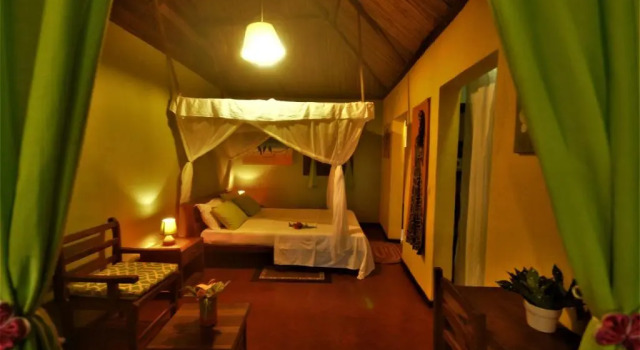 Бунгало Standard Natiora Green Lodge
