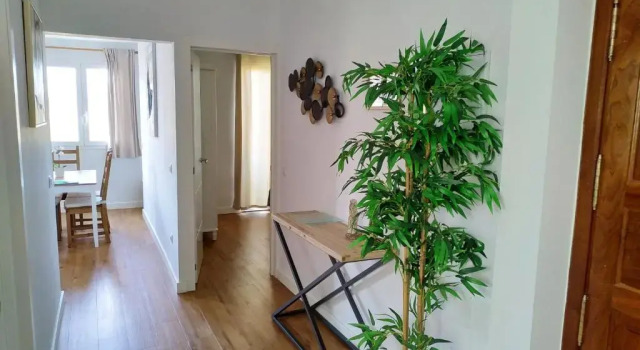 Апартаменты Deluxe Apartments Vegueta Suite