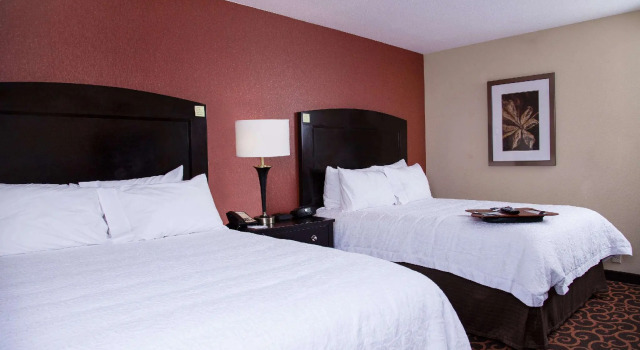 Четырёхместный номер Standard Hampton Inn & Suites Dickinson ND