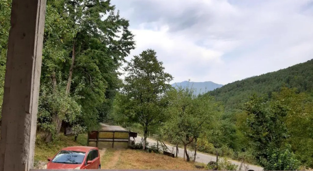 Muse House, Buchen Sie Hotel Ambrolauri Racha
