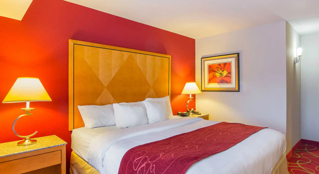 Номер Standard Comfort Suites At Virginia Center Commons