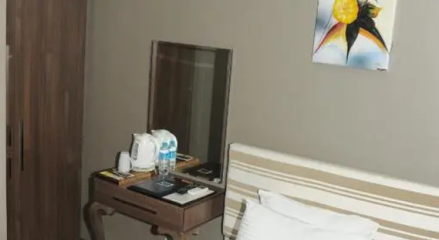 Одноместный номер Standard Adana City Boutique Hotel