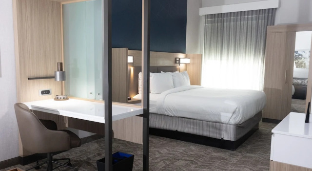Двухместный люкс SpringHill Suites by Marriott Dallas McKinney
