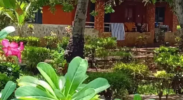 Номер Classic Mango Lodge Msambweni