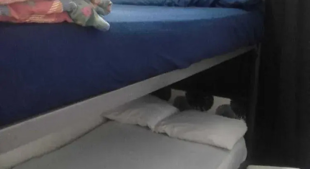 Номер Standard Hostal Oficinas Posada Albergue a 5 minutos Foro Sol Palacio Deportes Aeropuerto