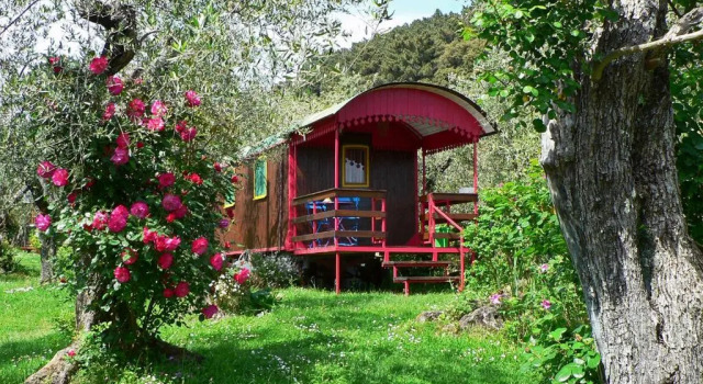 Номер Economy Azienda agricola e Caravan della Mezzaluna