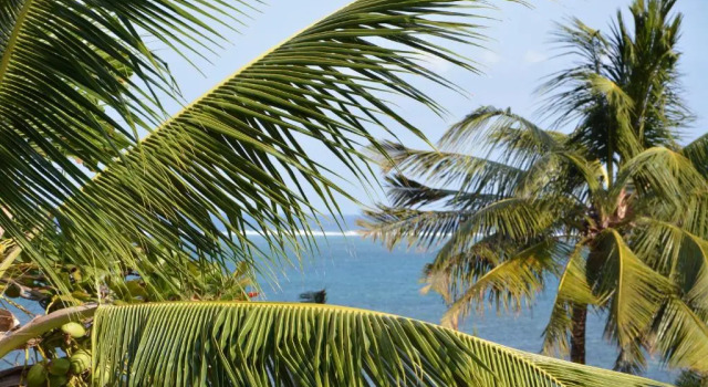 Номер Superior oceanfront Neptune Beach Resort - Все включено